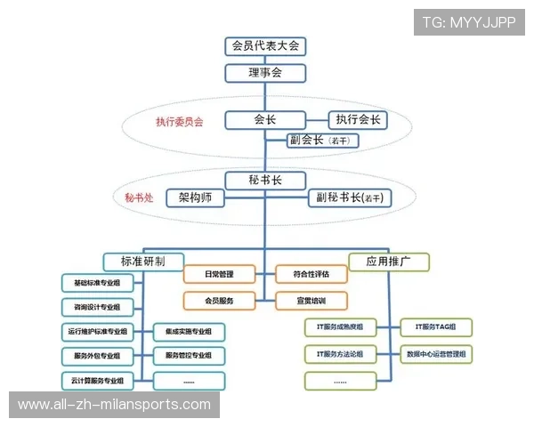 NBA球队管理层策略探讨，nba球队组织架构